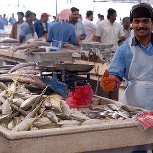 Fischverkäufer Dubai.jpg