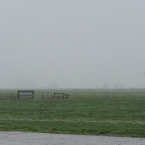 nff 121221_001.jpg