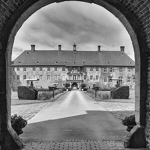 comp8 (1).jpg