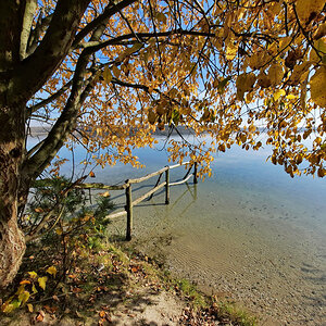 20211030_133628Haselbacher See.jpg