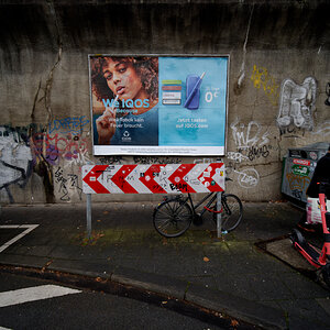 Z50_3072.jpg