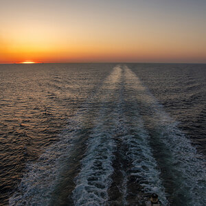 D50_7419#_311#.JPG