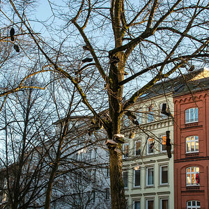 DSC_3528 Kopie.jpg