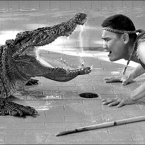 comp_Crocs2SW.jpg