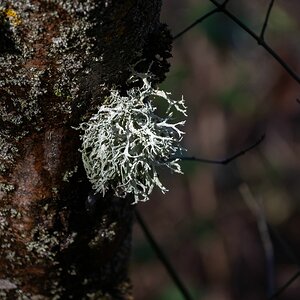 comp_DSC_0821.jpg
