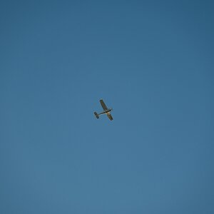 comp_DSC_0831.jpg