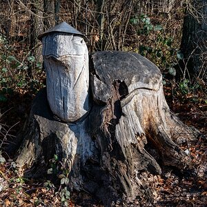 comp_DSC_0842.jpg