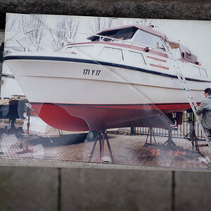 Z62_3364.jpg