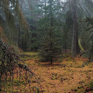 PC270430a_klein.jpg