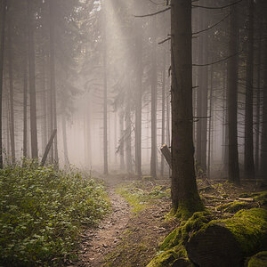 2021-10-28-13h05m31NF.jpg