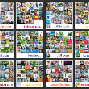 365-Tage-Projekt 2021 Jahrestableau