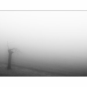 SasaDSC_3232.jpg
