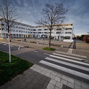 Z50_3231.jpg