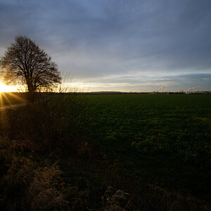 Z50_3244.jpg