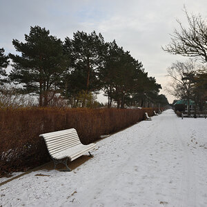DSC_9435.JPG