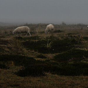 _DSC2246-Bearbeitet.jpg