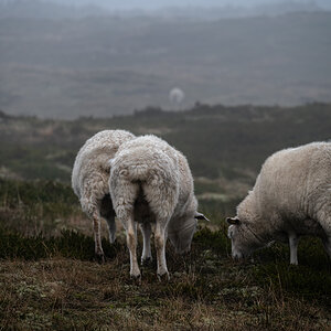 _DSC2268-Bearbeitet-2.jpg