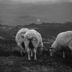 _DSC2268-Bearbeitet-2a.jpg