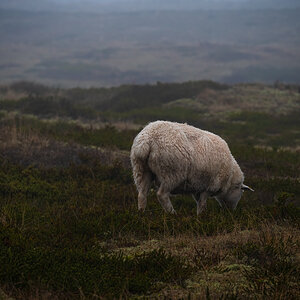 _DSC2269-Bearbeitet.jpg