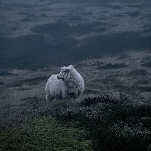 _DSC2279-Bearbeitetmond.jpg