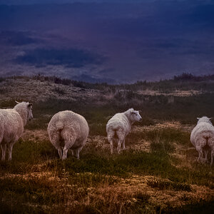 _DSC2293-2HDR.jpg