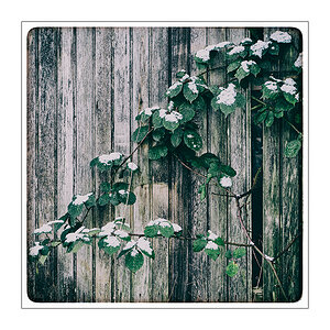 6/365