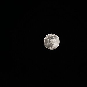comp_D73_3254_DxO-1.jpg