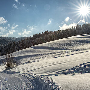 E6A8B14D-EF00-4D22-BE4F-0C52DBE0A474.jpeg