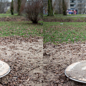 50mmVergleich4.jpg