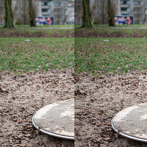 50mmVergleich5.jpg