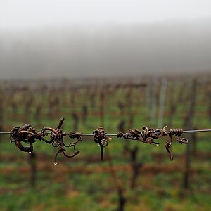 P1150802a_klein.jpg