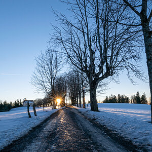 20220115-DSC_7755.jpg
