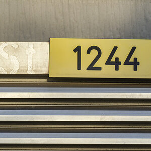 _D703166-_323#.JPG