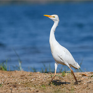 D50_9760.jpg