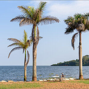 D75_6454.jpg