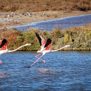 20131008-DSC_0696.jpg