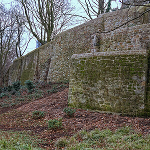 DSC_0218cnxKSxl.jpg