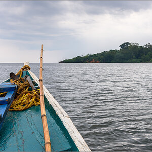 D75_6460.jpg