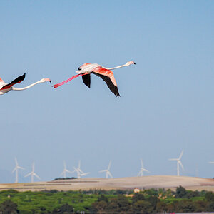 20131008-DSC_0699.jpg