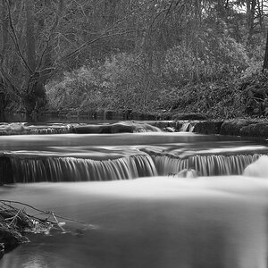 _DSC3198 1.jpg