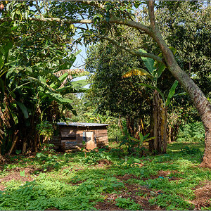 D75_6642.jpg
