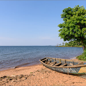 D75_6648.jpg