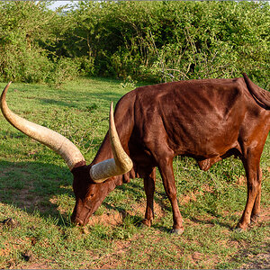 D75_6776.jpg