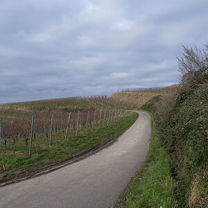 Z7H_1401.jpg