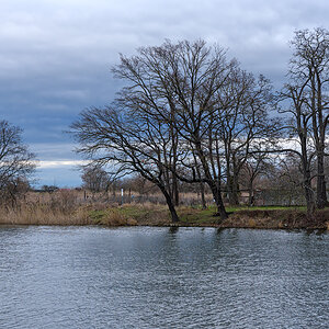 OF2_46971.jpg