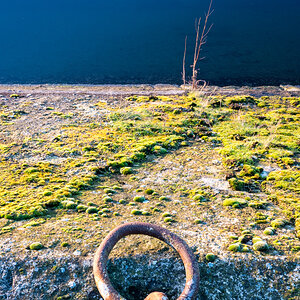 Z62_3654.jpg