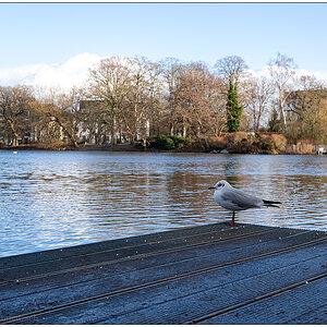 026 Eine Runde im Kieler Schrevenpark 05