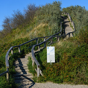 OF2_52957.jpg