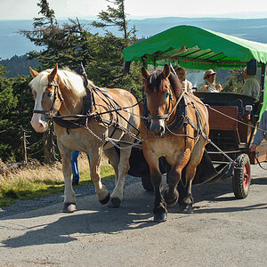 OF-DSC_12776.jpg