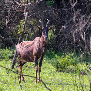 D50_0610.jpg